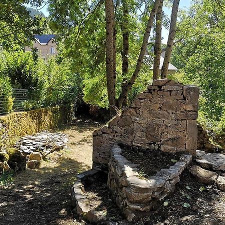 Maison Traditionnelle En Lozere Saint-Saturnin  Экстерьер фото