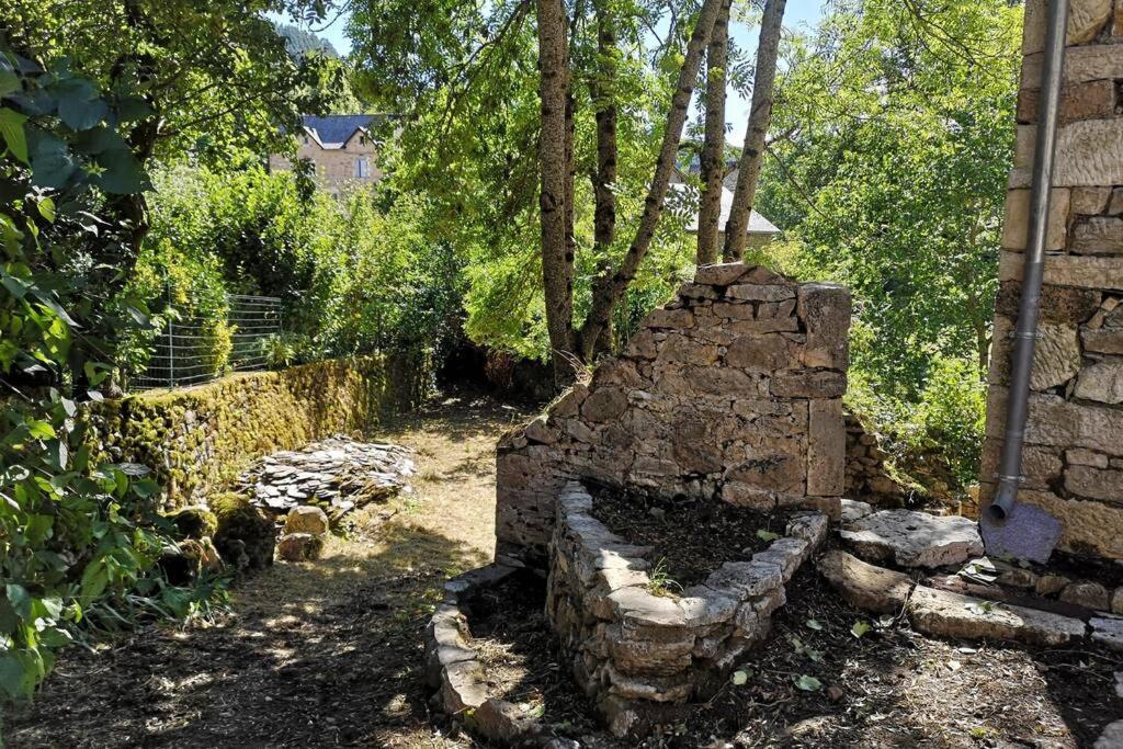 Maison Traditionnelle En Lozere Saint-Saturnin  Экстерьер фото