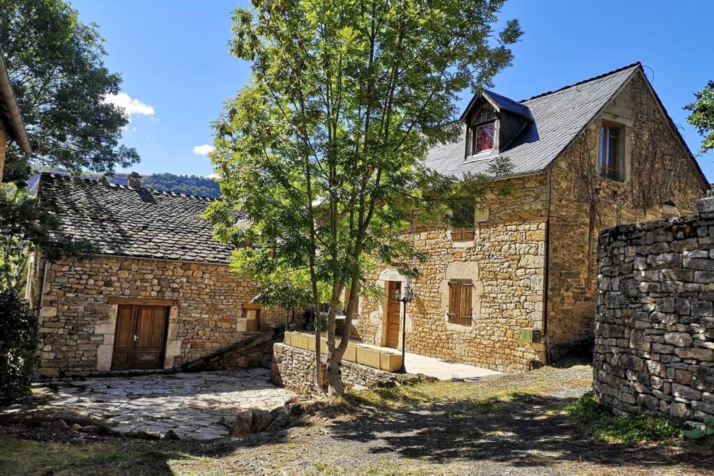 Maison Traditionnelle En Lozere Saint-Saturnin  Экстерьер фото